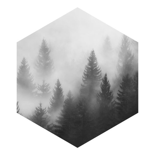 Carta da parati Foresta di conifere nella nebbia Bianco e nero
