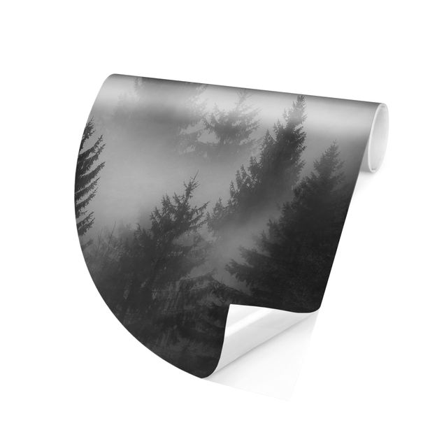 Carta parati tnt Foresta di conifere nella nebbia Bianco e nero