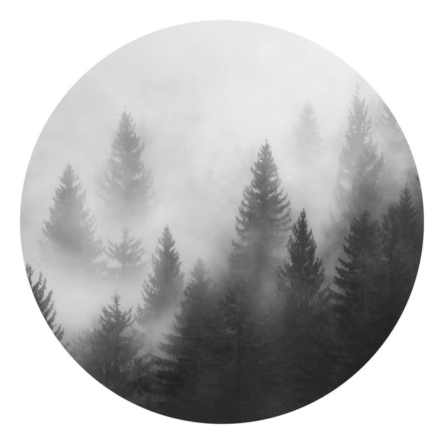 Carta da parati moderne Foresta di conifere nella nebbia Bianco e nero