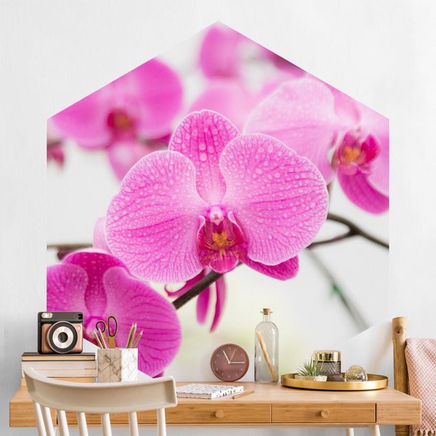 Carte da parati adesive Orchidea ravvicinata