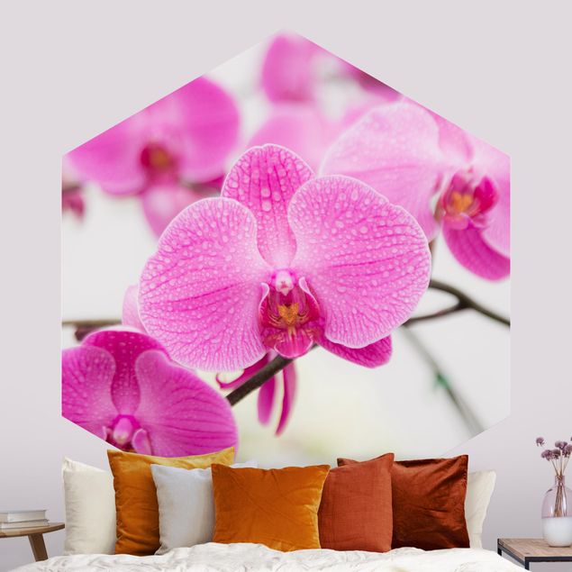 Carte da parati con orchidee Orchidea ravvicinata