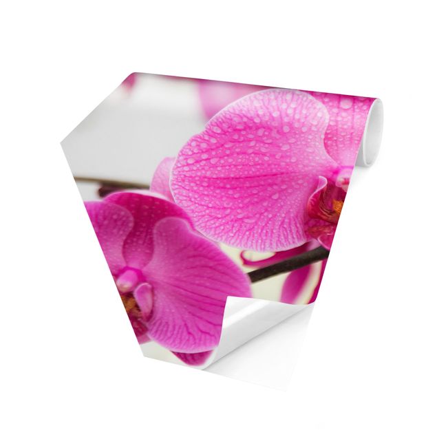 Fotomurale esagonale Orchidea ravvicinata