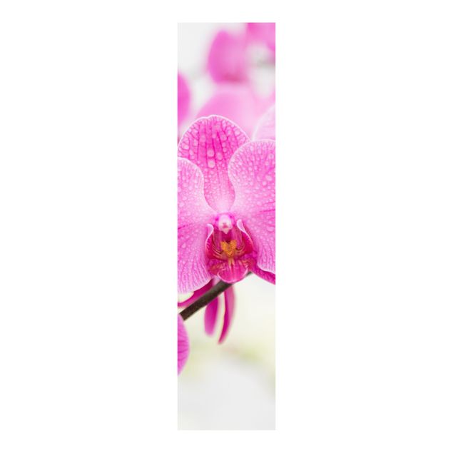 Tessili casa Orchidea ravvicinata