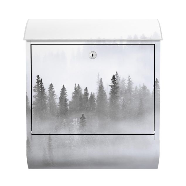Cassette della posta con paesaggio Nebbia nella foresta di abeti in bianco e nero
