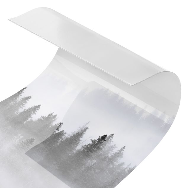 Rivestimento per doccia - Nebbia nel bosco di abeti in bianco e nero