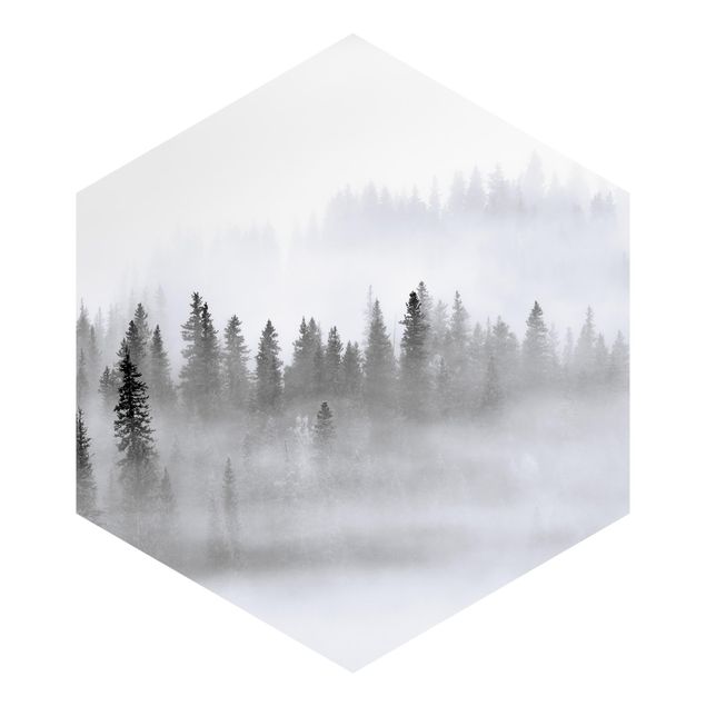 carta da parete Nebbia nella foresta di abeti in bianco e nero
