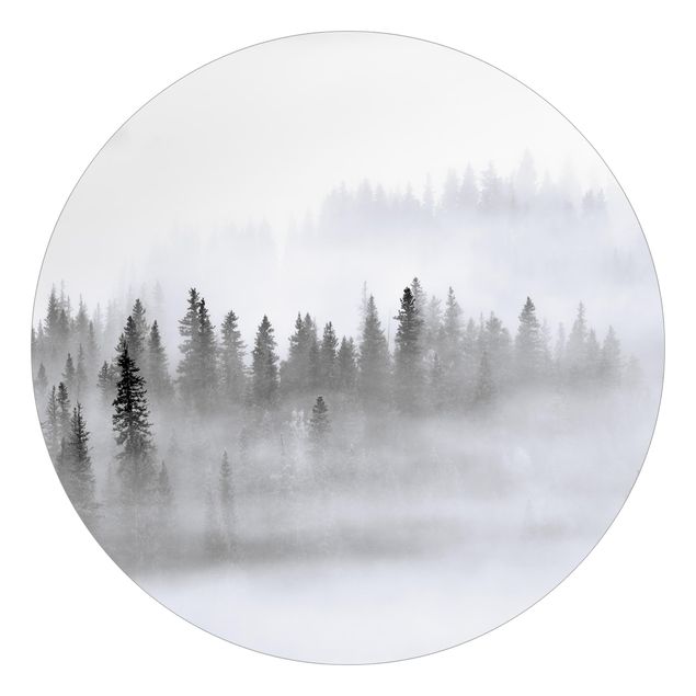Carta da parati moderna Nebbia nella foresta di abeti in bianco e nero