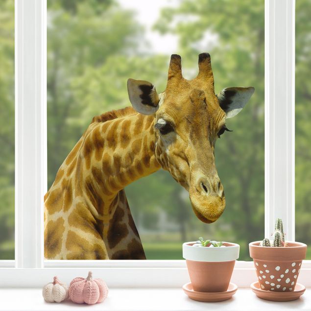 Decorazioni cameretta Giraffa curiosa