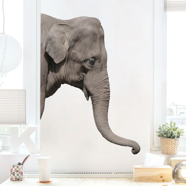 Adesivi murali elefanti N.3 Elefante