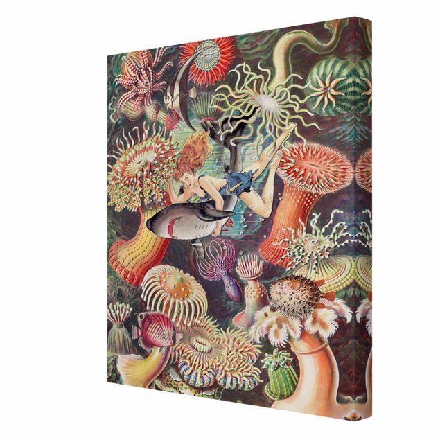 Quadri colorati Ninfa con anemone di mare