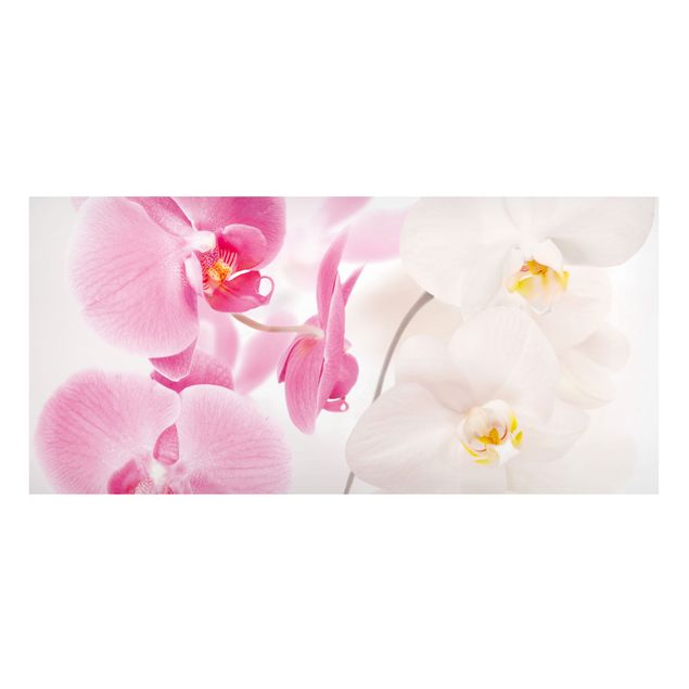 Quadro orchidea Orchidee delicate