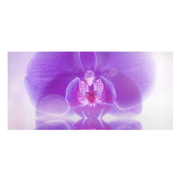 Lavagne magnetiche con fiori Orchidea viola sull'acqua