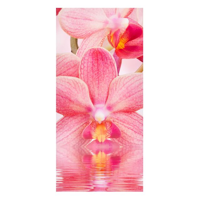 Lavagne magnetiche con fiori Orchidea rosa chiaro sull'acqua