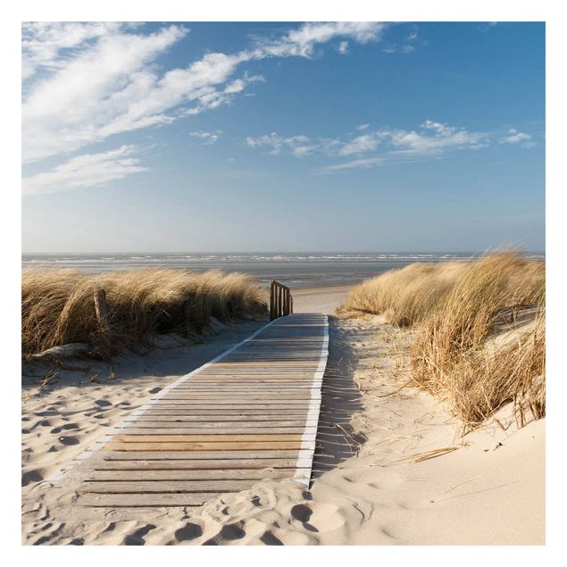 Carta da parati mare Spiaggia del Mar Baltico