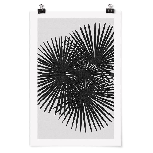 Poster in bianco e nero Foglie di palma in bianco e nero