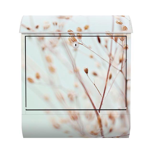 Cassette della posta beige Gemme pastello su ramo di fiori selvatici