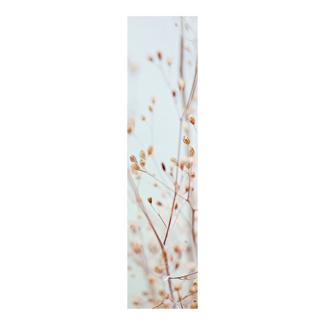 Quadri Monika Strigel Gemme pastello su ramo di fiori selvatici
