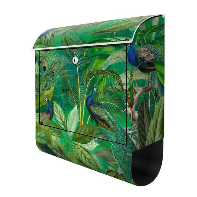 Cassetta postale verde Pavoni nella giungla