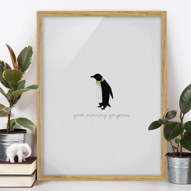 Quadri con cornice in bianco e nero Citazione Pinguino Buongiorno Splendido
