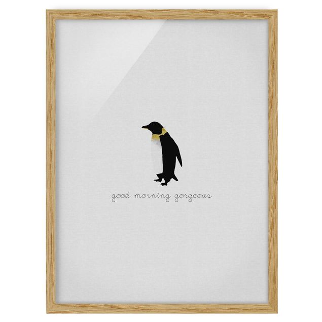 Stampe Citazione Pinguino Buongiorno Splendido