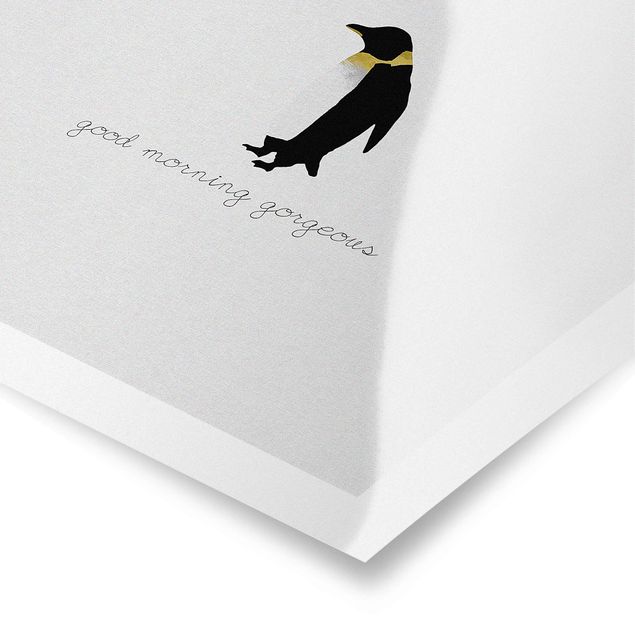 Poster Citazione Pinguino Buongiorno Splendido