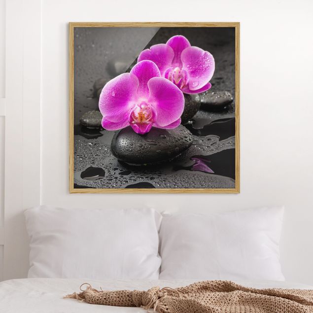 Quadri con orchidee Fiore di orchidea rosa su pietra con gocce