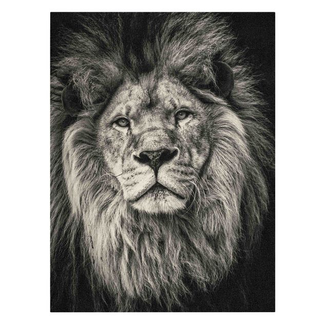 Stampa su tela bianco e nero Ritratto di leone in bianco e nero