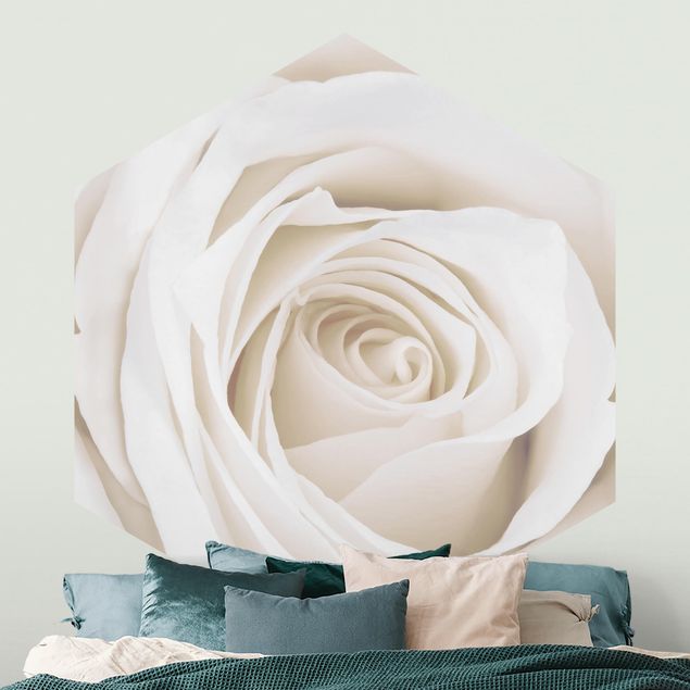 Carta da parati con rose Bella rosa bianca