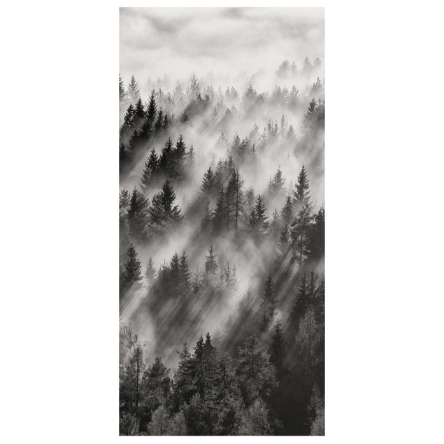 Tenda a pannello - Raggi Luce nella foresta di conifere - 250x120cm