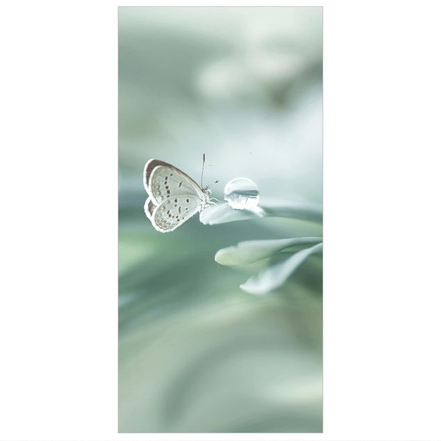 Tenda a pannello - Farfalla E Gocce di rugiada In Pastel Verde - 250x120cm