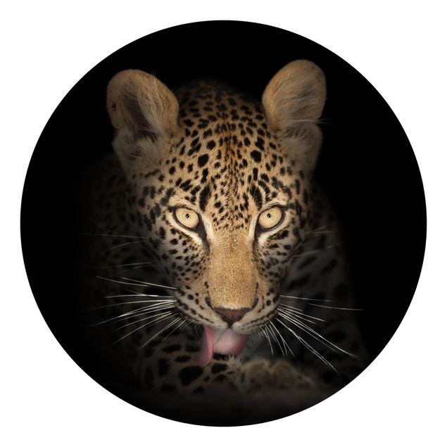 Carte da parati moderne Leopardo a riposo