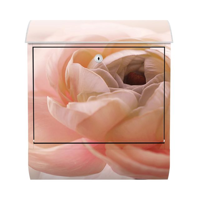 Cassette della posta rosa Focus sul fiore rosa chiaro