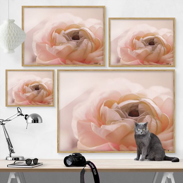 Quadri Monika Strigel Focus sul fiore rosa chiaro