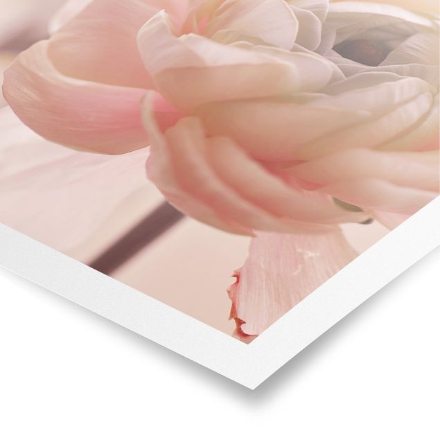 Quadri Monika Strigel Focus sul fiore rosa chiaro