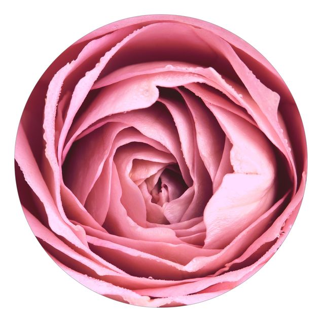 Carta da parati moderne Fiore di rosa rosa