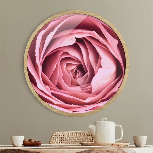 Quadro moderno Fiore di rosa rosa