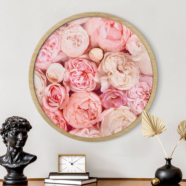 Quadri con cornice con fiori Rose Rosa Corallo Shabby
