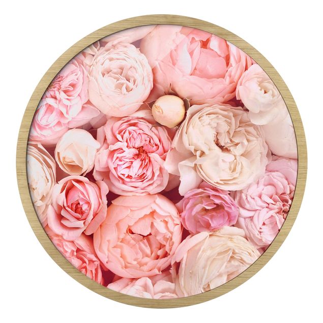 Quadri stampe Rose Rosa Corallo Shabby