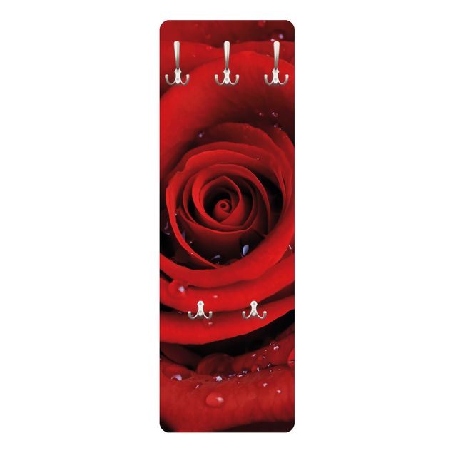 Appendiabiti - Red rose with water drops