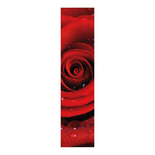 Tessili online Rosa rossa con gocce d'acqua