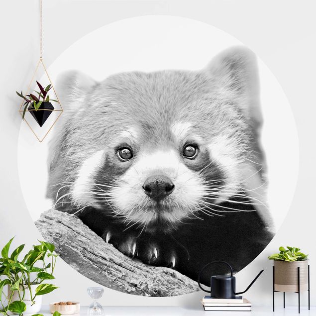 Carte da parati adesive Panda rosso in bianco e nero
