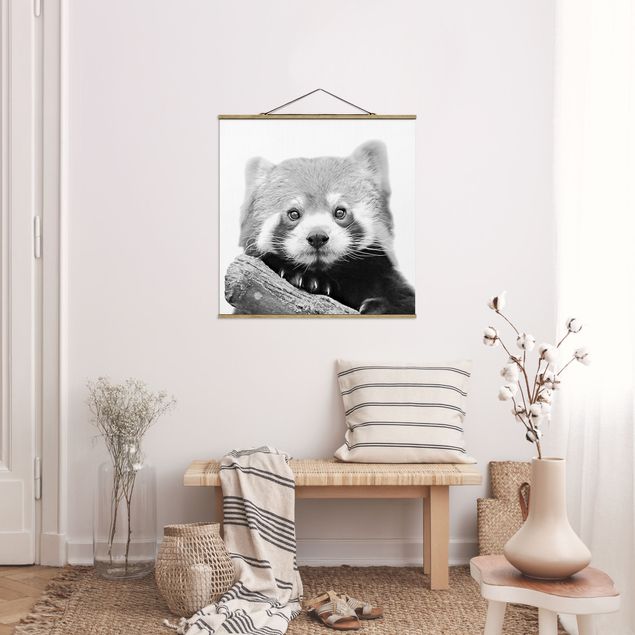 Quadro panda Panda rosso in bianco e nero