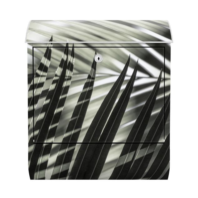 Cassette della posta con paesaggio Giochi di ombre su ramo di palma