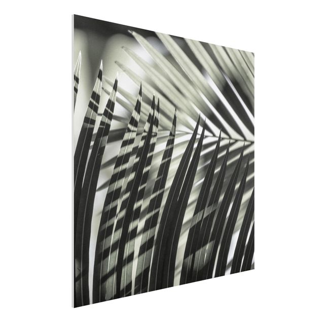Quadro paesaggio Giochi di ombre su ramo di palma