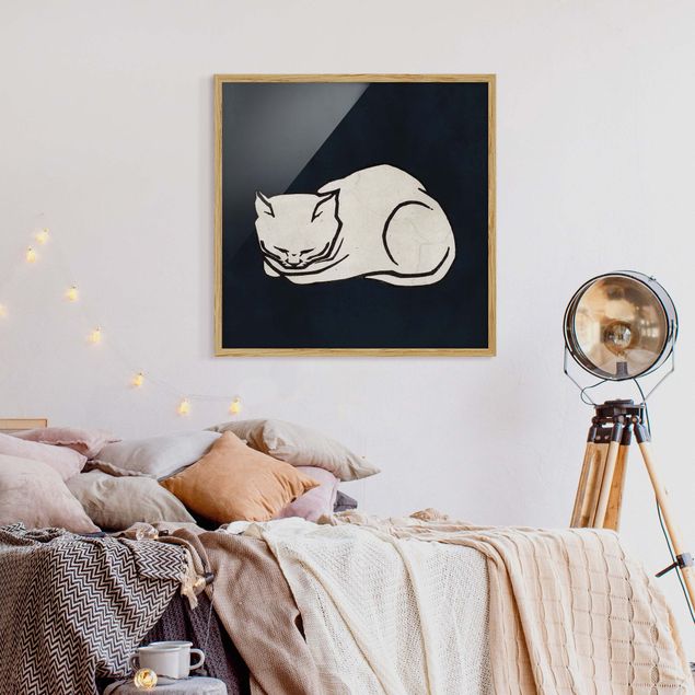 Quadri con cornice in bianco e nero Illustrazione di gatto addormentato