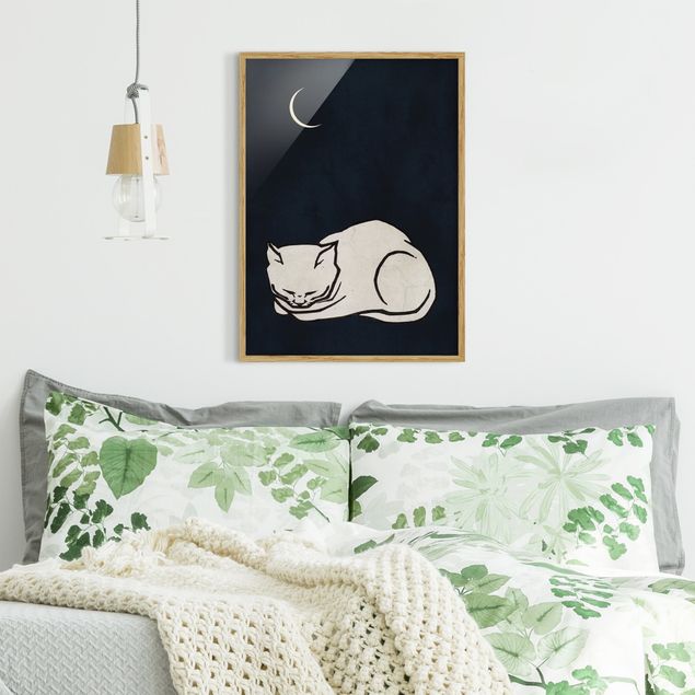 Quadri con cornice con animali Illustrazione di gatto addormentato