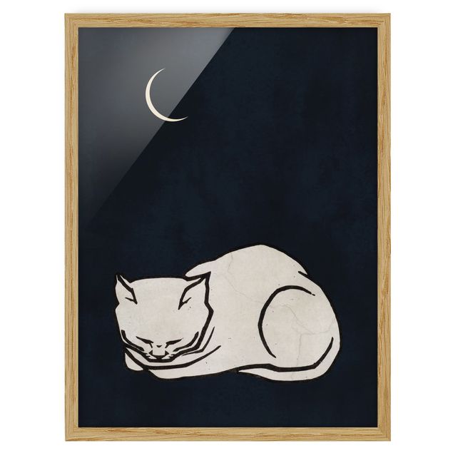Quadri moderni per arredamento Illustrazione di gatto addormentato
