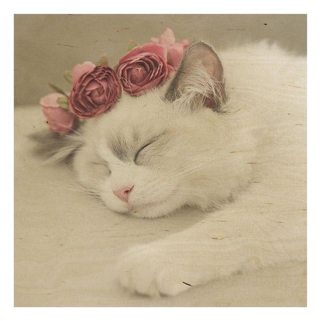 Quadri in legno con fiori Gatto addormentato con rose