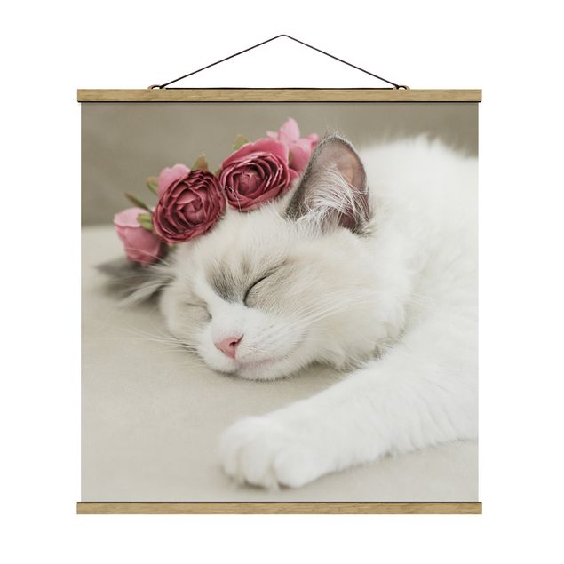 Quadro amore Gatto addormentato con rose