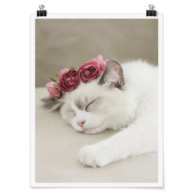 Amore quadri Gatto addormentato con rose